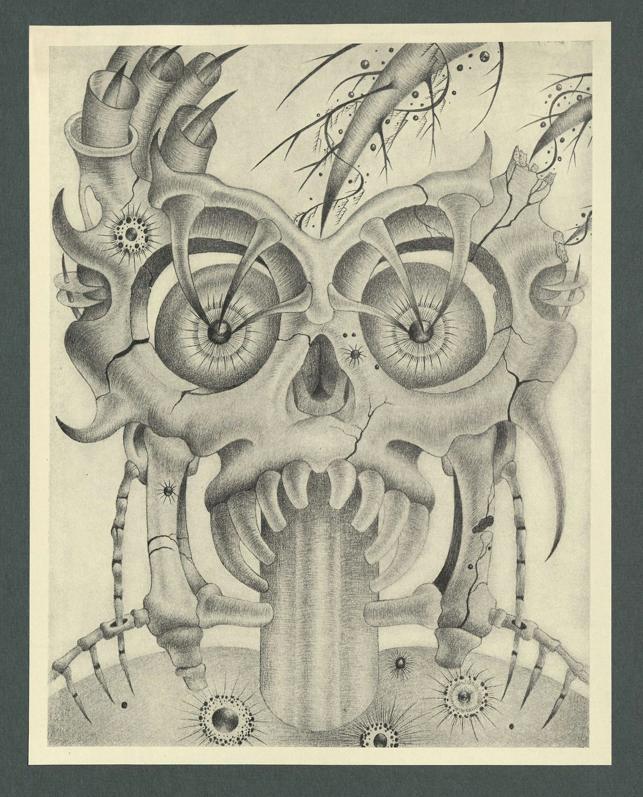 Skull Drawing From the Side Homicidal Frenzy From John Franklin Hawkins Portfolio Of Drawings