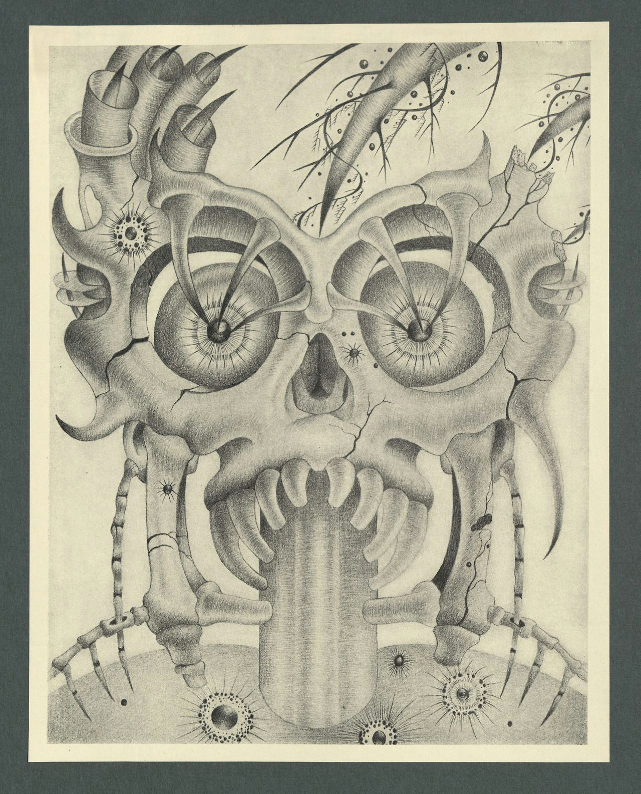 Skull Drawing From the Side Homicidal Frenzy From John Franklin Hawkins Portfolio Of Drawings