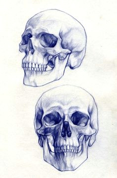 Skull Drawing From the Side Skull Sketch Tattoo Skull Sketch Drawings Skull Art