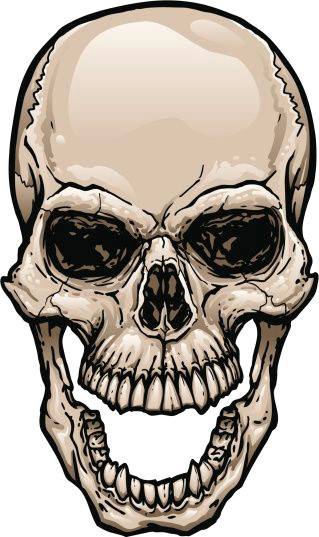Skull Drawing Front 165628919 Skull with Wide Open Mouth Gettyimag by Johnhiggins5 Art