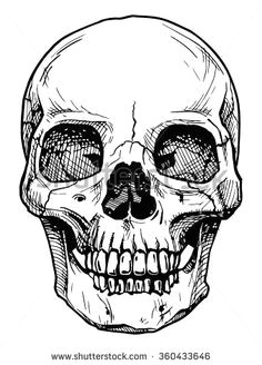 Skull Drawing Guide 213 Best Skull Sketch Images Skull Skulls Skull Tattoos