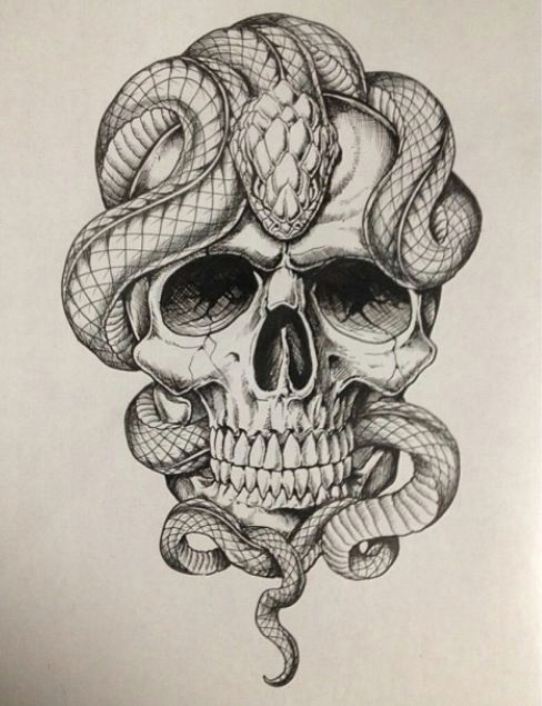 Skull Drawing Hashtags Affliction Skull and Snake Art Tattoos Snake Tattoo Skull Tattoos