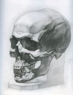 Skull Drawing Hd 139 Best Skull Drawing Anatomy Images Drawing Faces Pencil