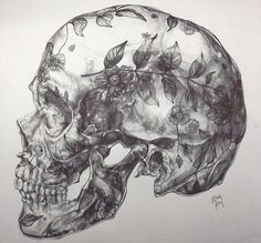 Skull Drawing Hd 19 Best Skull Sketches Images