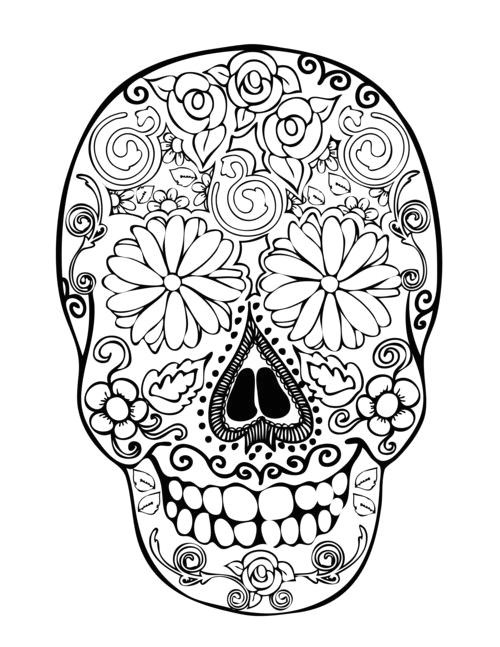 Skull Drawing Lesson Plan Free Images Of Skulls Download Free Clip Art Free Clip Art On