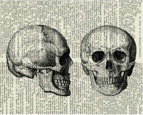 Skull Drawing Looking Down Looks even Creepier On An Old Book Page Unintended Purposes In