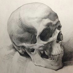 Skull Drawing Looking Up 1472 Best Life Drawing Images