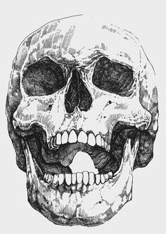 Skull Drawing Mouth Open Image Result for Skull Open Mouth Drawing Tattoo Projects