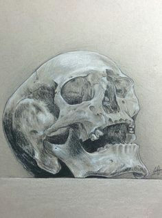Skull Drawing On toned Paper 48 Best toned Paper Art Images Paintings Drawings Art Drawings