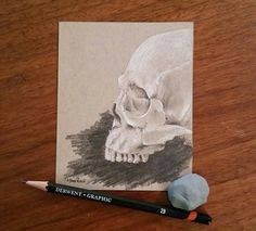 Skull Drawing On toned Paper 82 Best Strathmore Tan toned Paper Images toned Paper Drawing