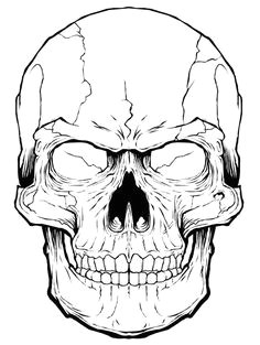 Skull Drawing Open Mouth 165628919 Skull with Wide Open Mouth Gettyimag by Johnhiggins5 Art