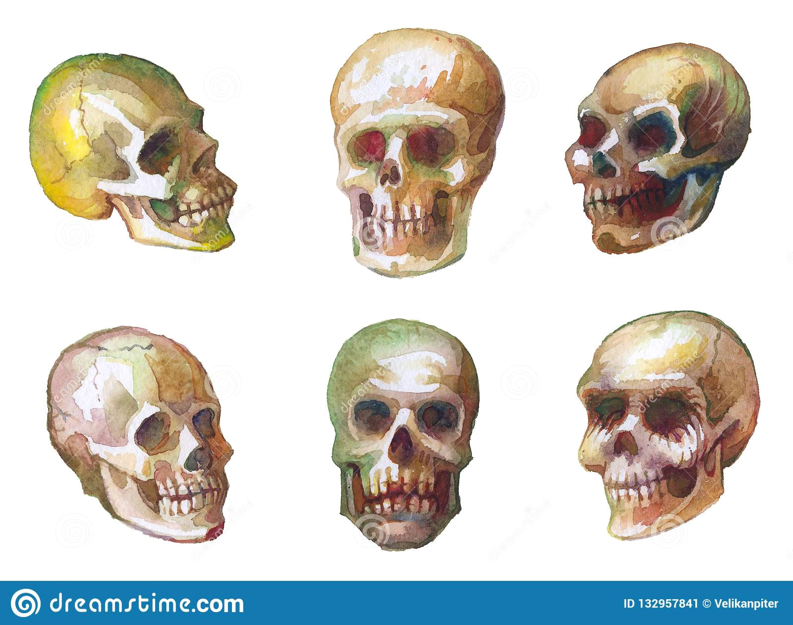 Skull Drawing Pattern Watercolor Sketches Of Skulls Drawing Paint On Paper Seamless