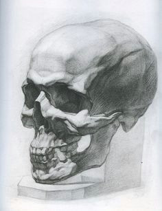 Skull Drawing Practice 139 Best Skull Drawing Anatomy Images Drawing Faces Pencil