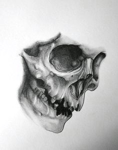 Skull Drawing Shading Pin by Dale Newman On Skulls and Bones Pinterest Skull Tattoos