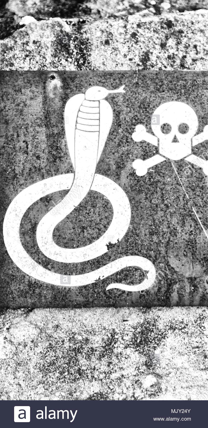 Skull Drawing Snake In south Africa the Metal Signal Of the Danger for Wild Snake and