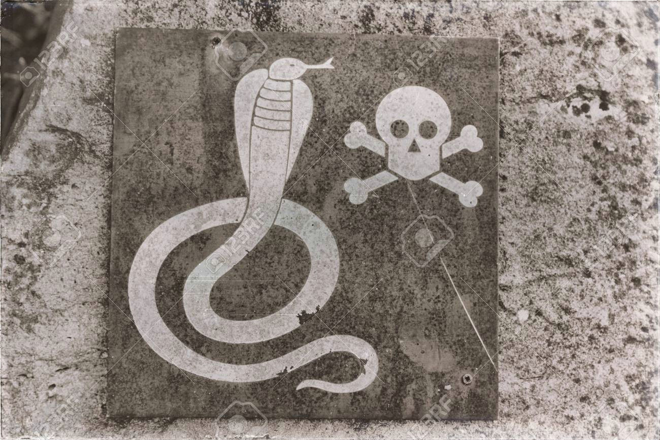 Skull Drawing Snake In south Africa the Metal Signal Of the Danger for Wild Snake