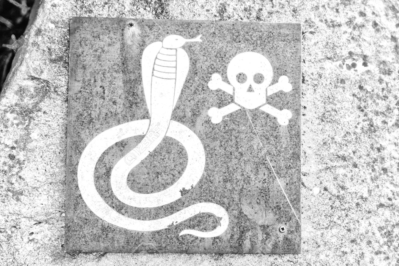 Skull Drawing Snake In south Africa the Metal Signal Of the Danger for Wild Snake