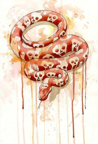 Skull Drawing Snake Skull Python Snakes Pinterest Snake Art Snake Drawing and Art