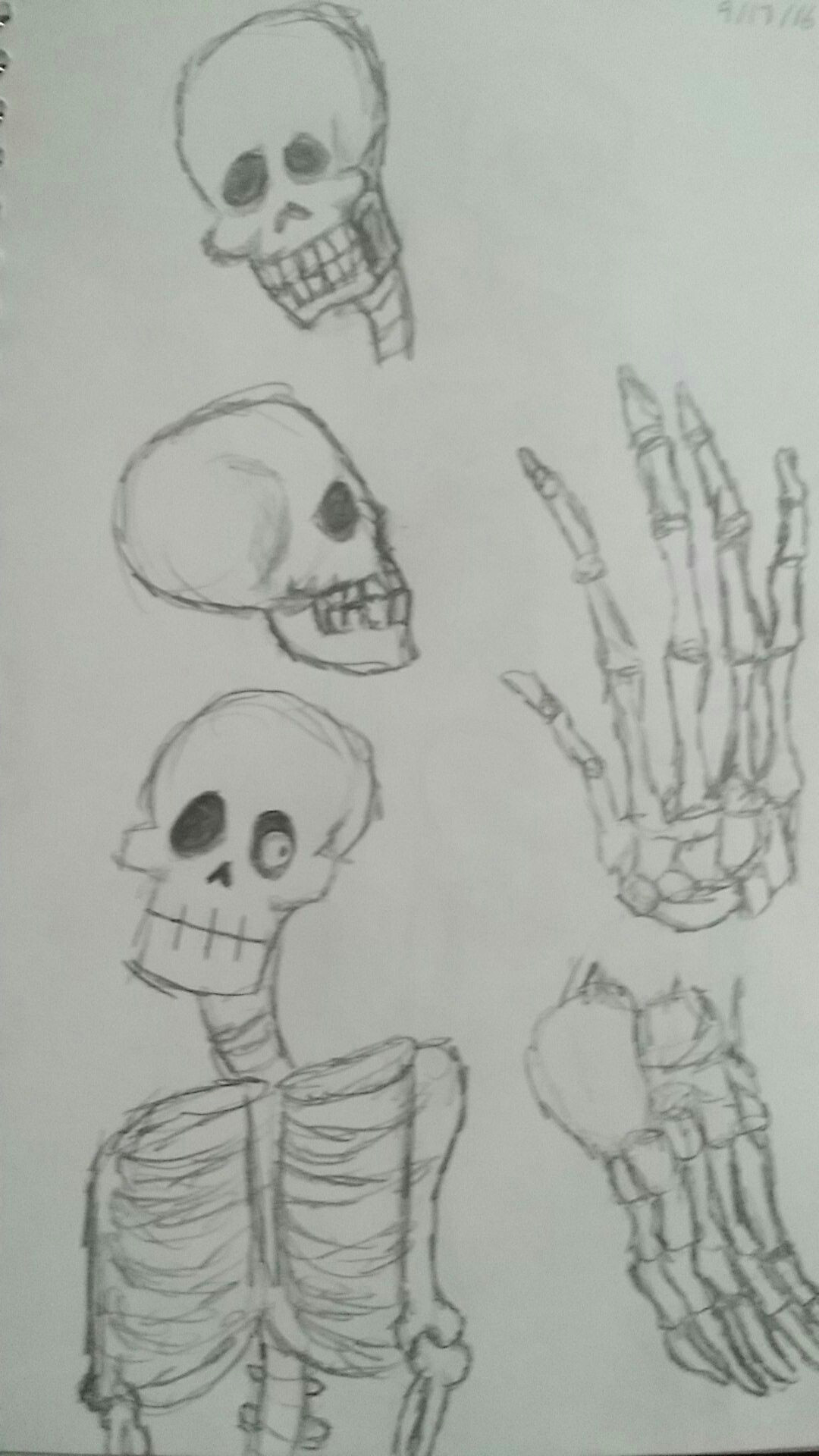 Skull Drawing Study Skeleton Studies Art 2d Sketch Sketchbook Drawing Illustration