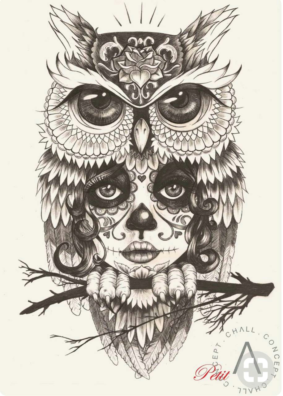 Skull Drawing Wallpaper Skull Owl Wallpaper by Jokergirl29 0d Free On Zedgea