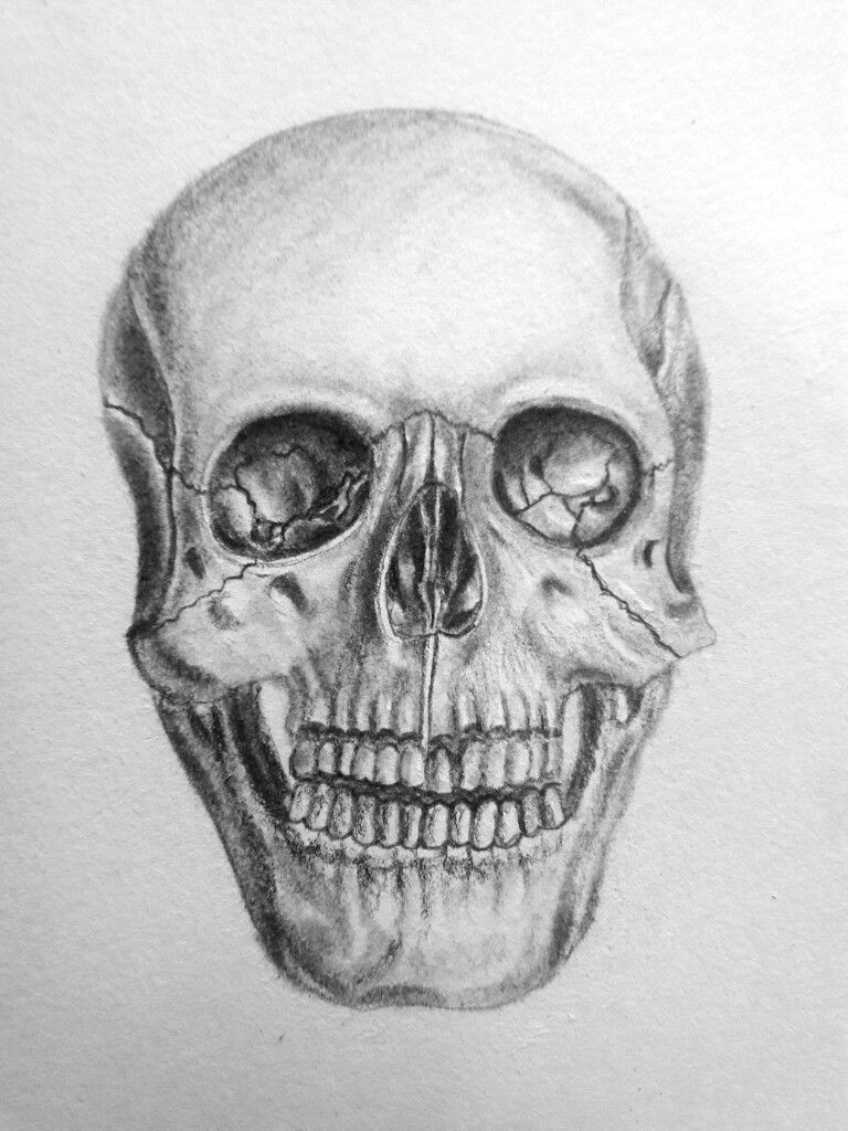 Skull Drawing with Bones Please Give Credit as This is My Own Drawing Pinterest Naomiokayyy