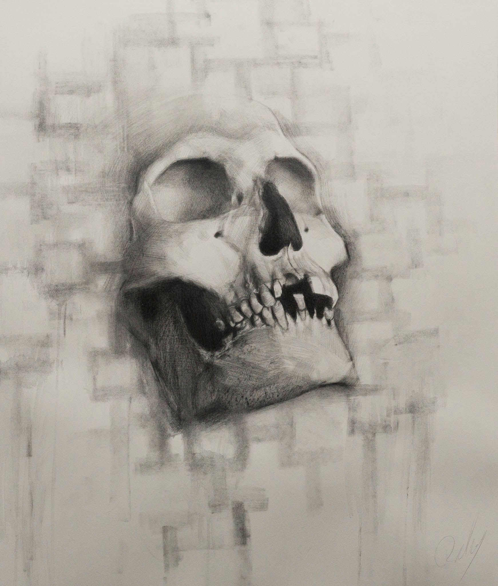 Skull Drawing with Color Drawing by Ricky Larsson Pencil Drawings Drawings Pencil