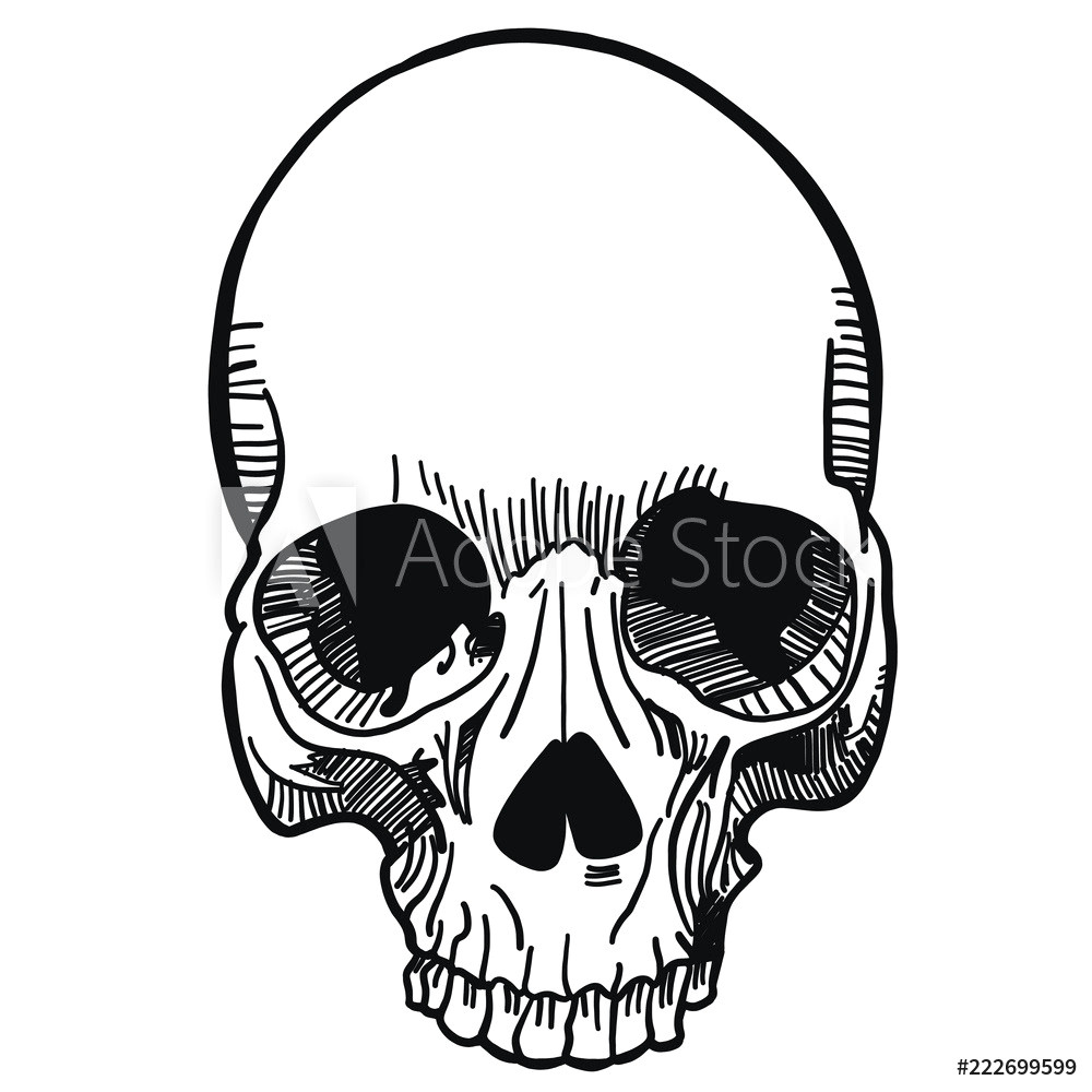 Skull Drawing with Headphones Kurt Achatz Illustration Skulls and Heads