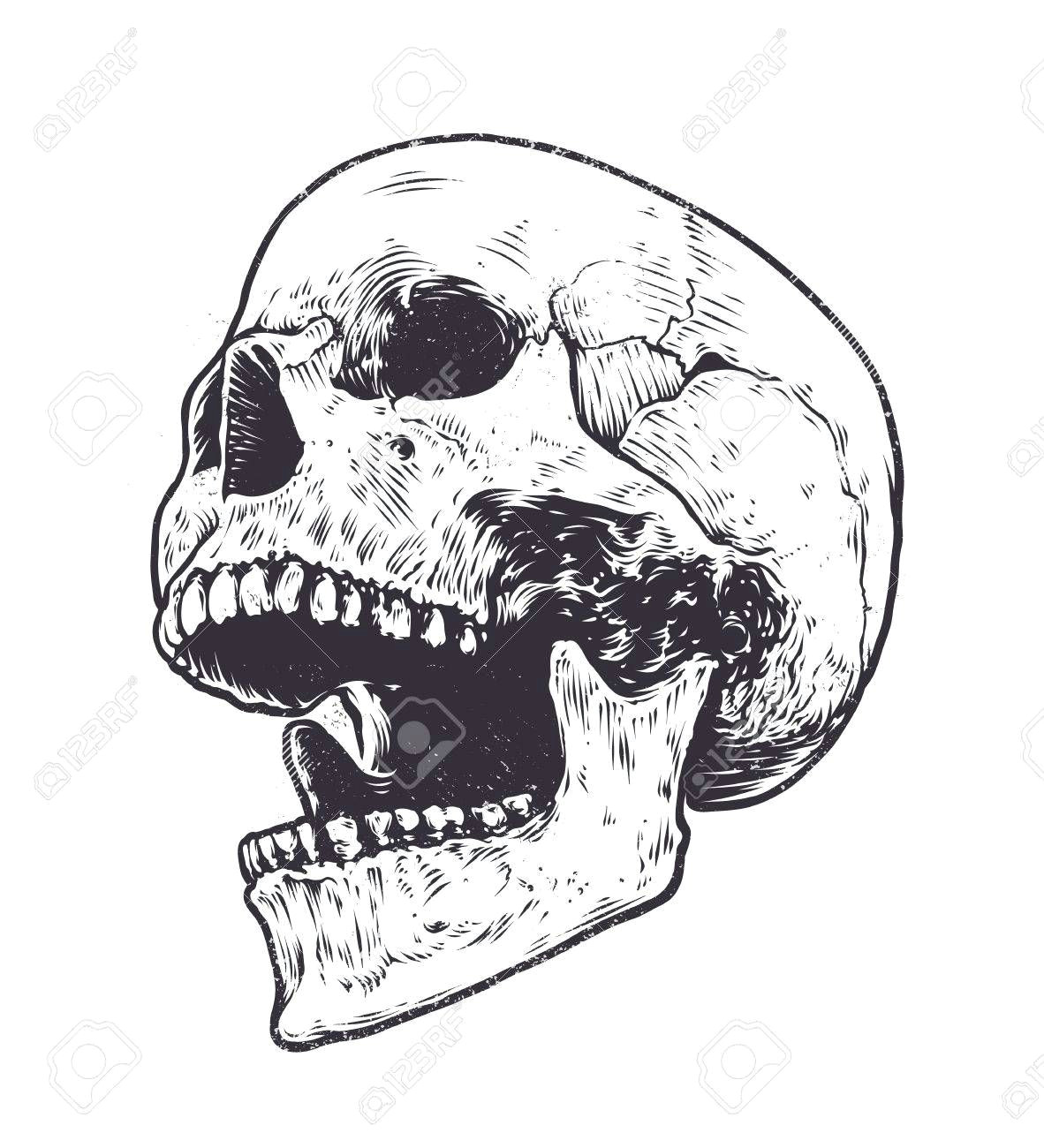 Skull Drawing with Shading Image Result for Skull Open Mouth Drawing Tattoo Projects