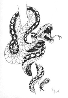 Skull Drawing with Snake 48 Best Snake Tattoo Sketches Images Cobra Tattoo Design Tattoos