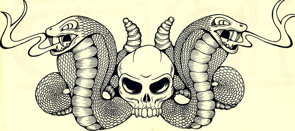 Skull Drawing with Snake Snakes Skulls Art Illustrations Skull Illustration Art Snake