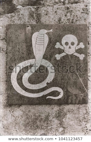 Skull Drawing with Snake south Africa Metal Signal Danger Wild Stock Photo Edit now