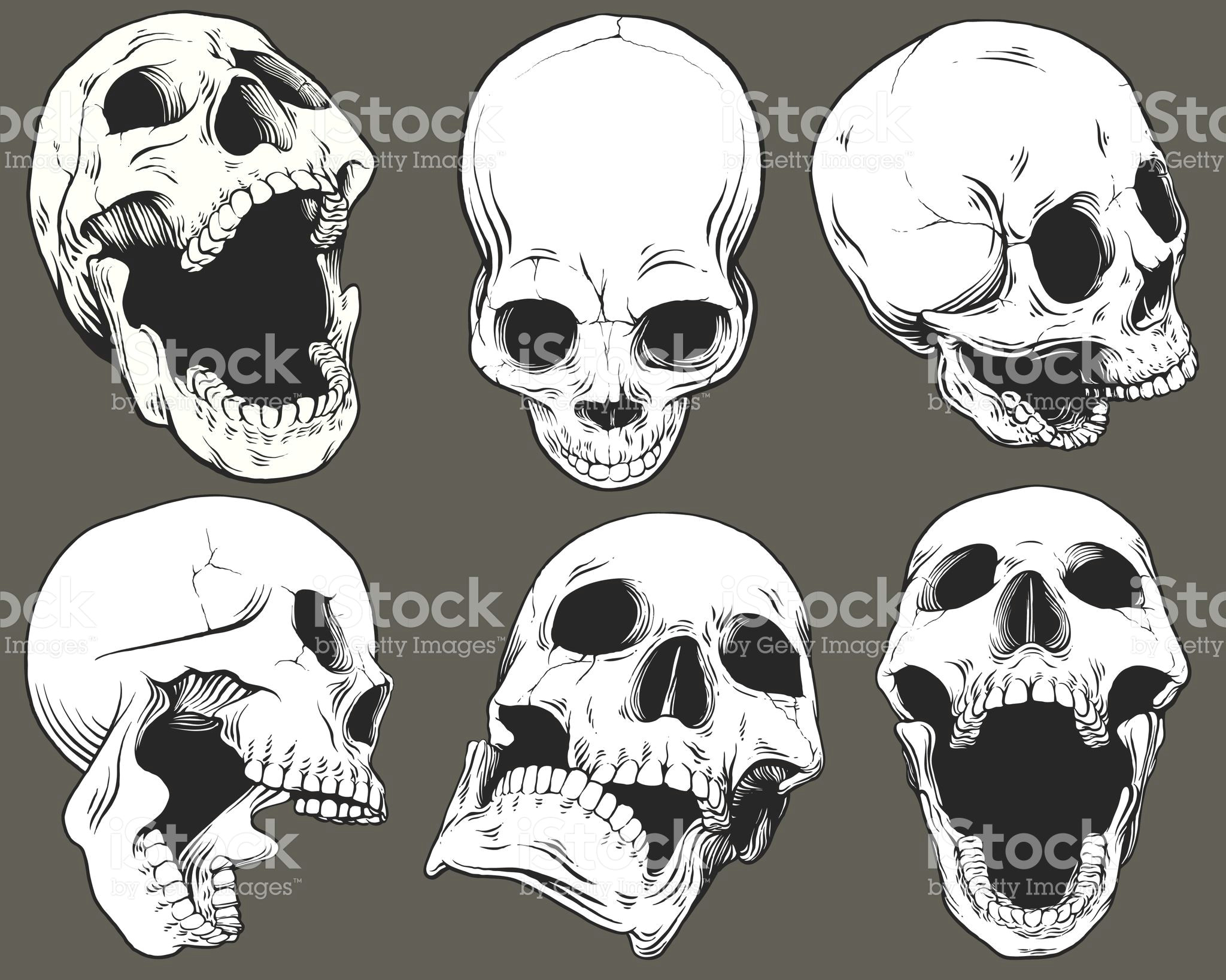 Skulls Drawing Reference Collection Of Six Vector isolated Black and White Skulls Shown From