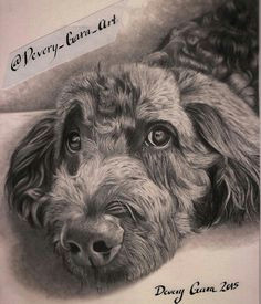 Speed Drawing Dogs 183 Best Dog Art Images Dog Art Drawings Of Dogs Pencil Drawings
