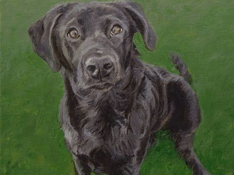 Speed Drawing Dogs Dog Portrait Painting Of Young Labrador 10x12ins Dogs Cute Pet