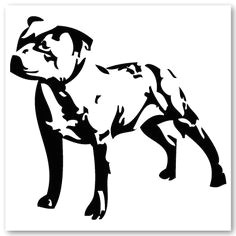 Staffy Dog Drawing 48 Best Staffy Stuff Images Pitt Bulls Dogs Pitbull Terrier