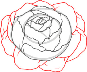 Stranger Things Drawing Easy Step by Step How to Draw A Peony Peony Flower Step by Step Flowers Pop