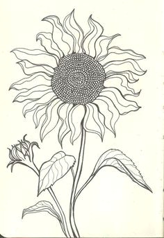 Sunflowers Drawing Easy 84 Best Sunflower Drawing Images In 2019 How to Paint Sunflowers