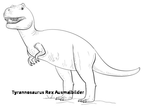 T Rex Cartoon Drawing 90 Das Beste Von Tyrannosaurus Rex Ausmalbild Das Bild Kinder Bilder
