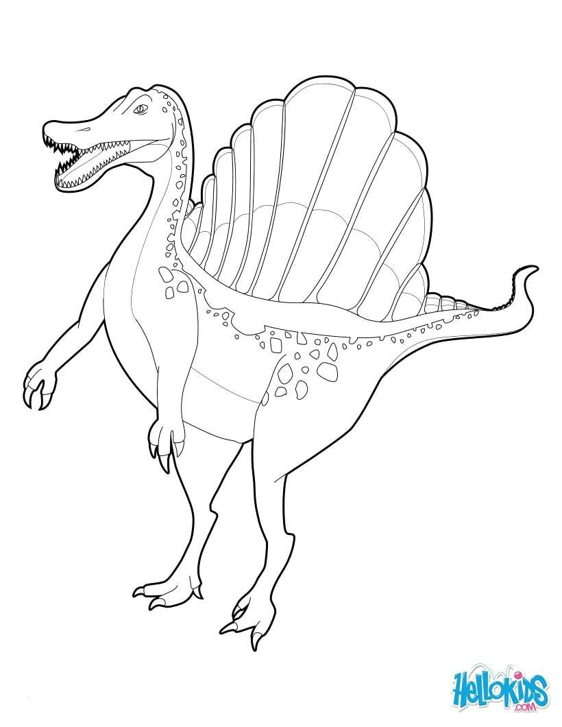 T Rex Cartoon Drawing Tyrannosaurus Rex Ausmalbilder A Legant Photographie Tyrannosaurus