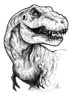 T Rex Head Drawing Easy Dinosaur Sketch Pretty Sick Marle In 2019 Pinterest Drawings