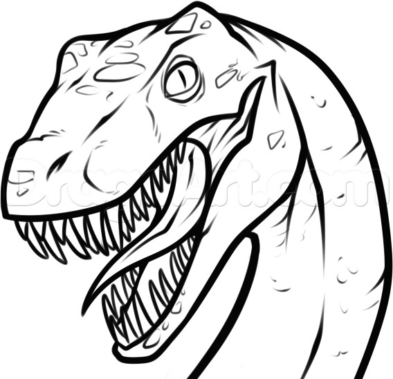 T Rex Head Drawing Easy How to Draw A Raptor Head Step by Step Dinosaurs Animals Free