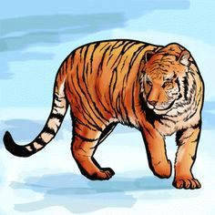 Tiger Drawing Easy Youtube 82 Best Tigers Drawing and Painting Tigers Images Tiger Drawing