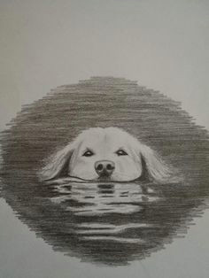 Tonal Drawing Of A Dog 86 Best tonal Images Draw Pencil Art Pencil Drawings