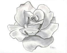 Tonal Drawings Of Roses 1349 Best Creative Drawing Ideas Images In 2019 Drawings Drawing