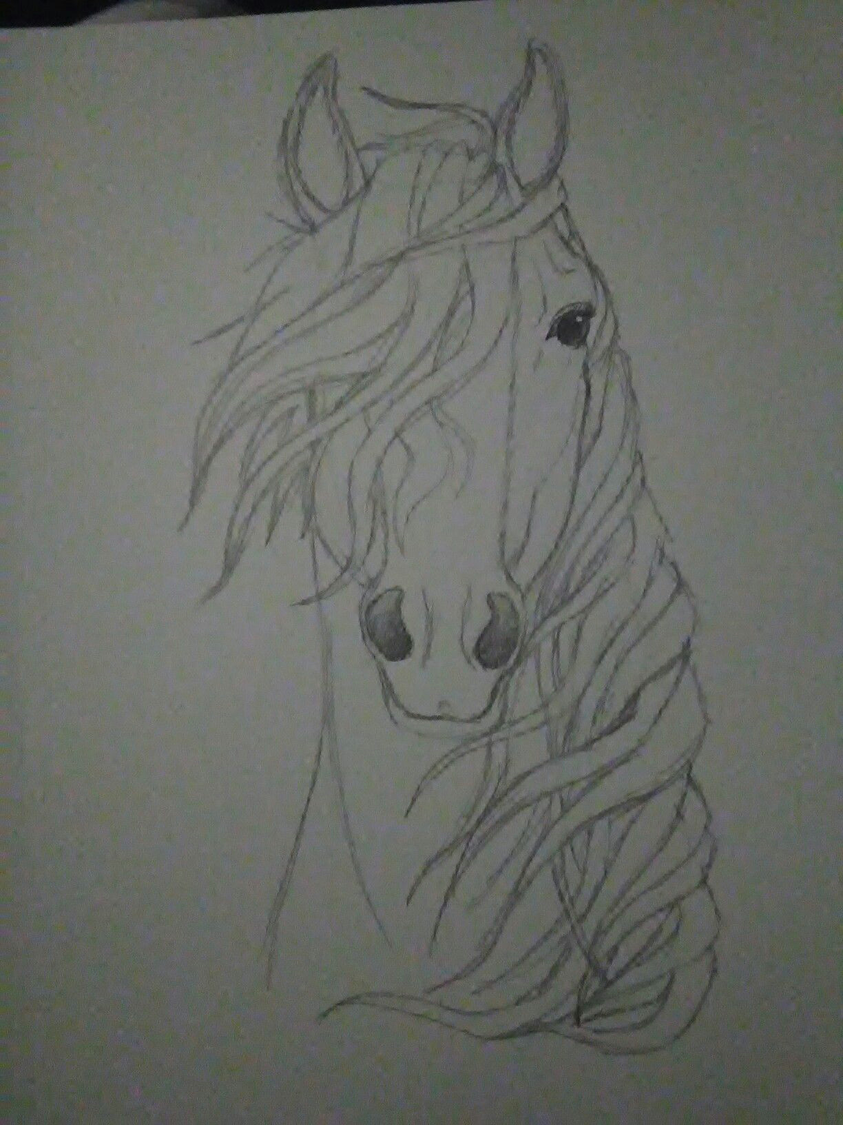 Tumblr Drawing Horse Spirit Of the Wind Kaboomz Horse Pencildrawing