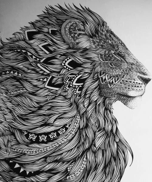 Tumblr Drawing Lion 13 Line Work Of Lion No Idea who the Artist is but Stunning Art