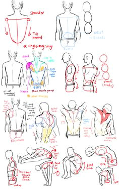 Tumblr Drawing Tutorial Masterpost 79 Best Male Anatomy Reference Images Figure Drawing Body
