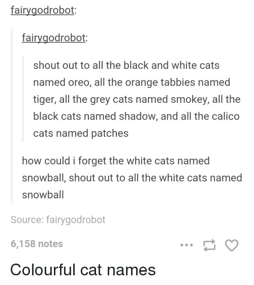Tumblr Drawing Usernames Tumblr Cat Names 10 Best Siamese Cat Names Animal Tumblr Cat Names
