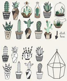 Tumblr Kaktus Drawing 47 Best Cactus Drawing Images Paintings Cactus Drawing Doodles