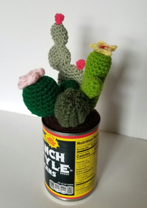 Tumblr Kaktus Drawing Cactus In A Can Crochet Cacti Faux Desert Plant Home Decor Size